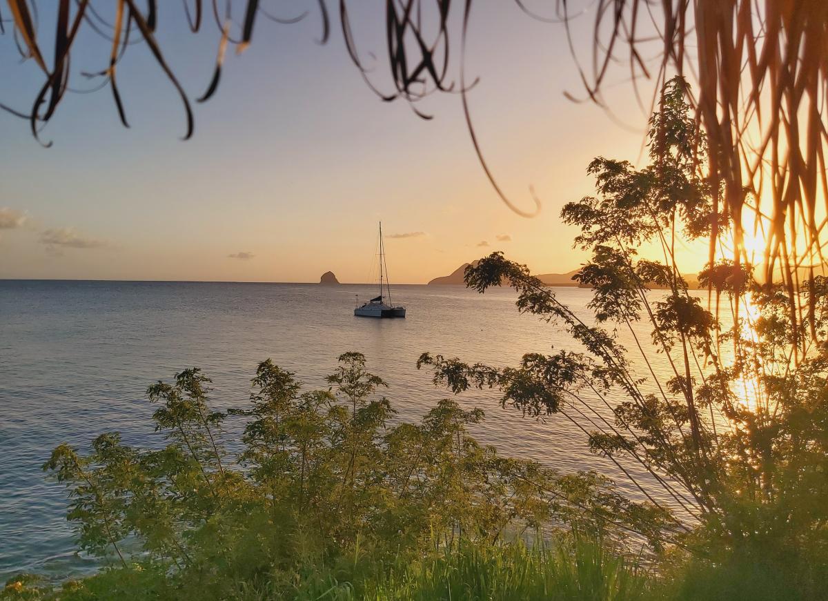 Iloma - Martinique