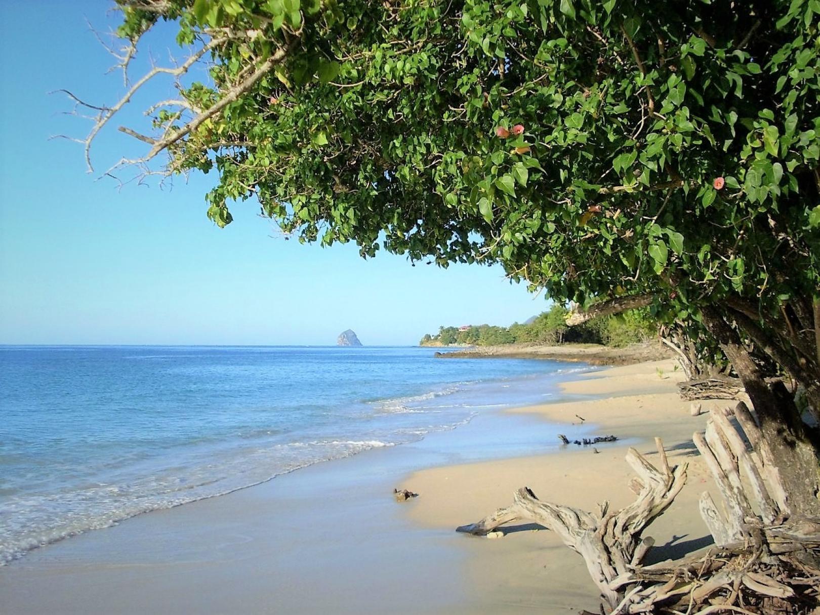 Iloma - Martinique